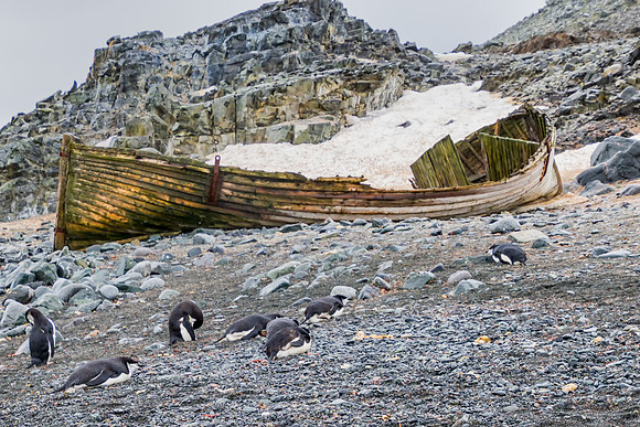 Whaling Remains