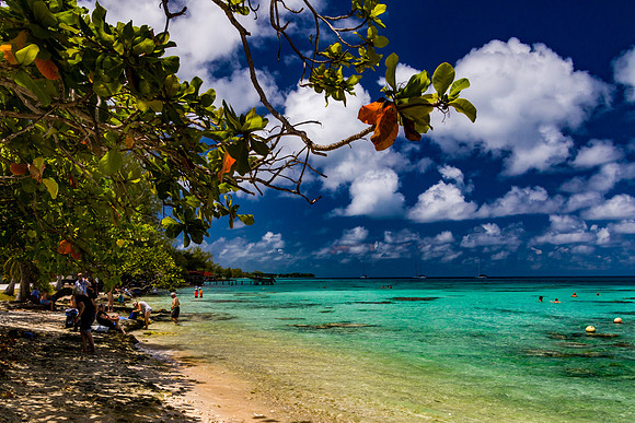 A Beach on Fakarava Island