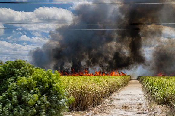 Burning Suger Cane, Mexico