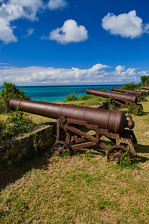 Guarding Antigua