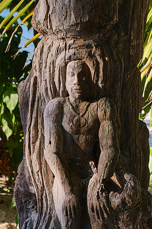Carved into the Tree