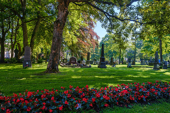 Trondheim, Norway. Cathedral Garden