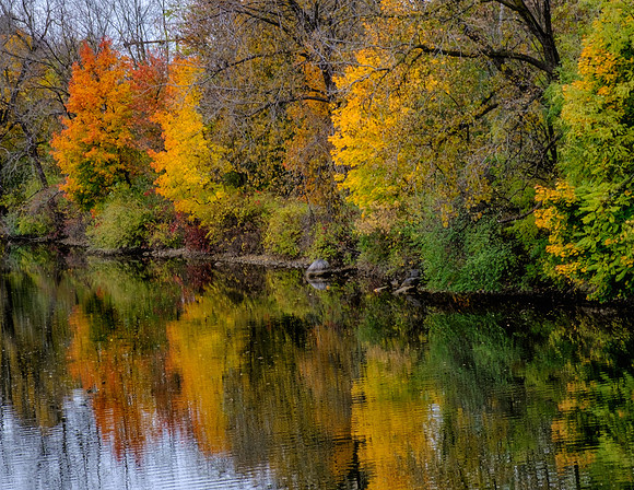 Canal-side Color