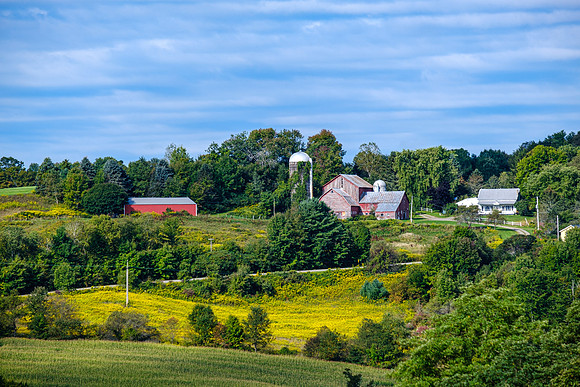 Golden Farm