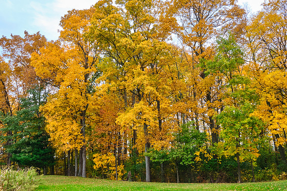 Whose woods these are...