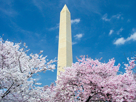 Washington Monument