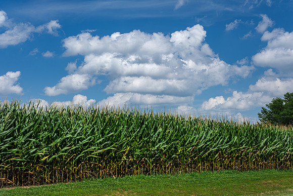 Carroll Country, MD