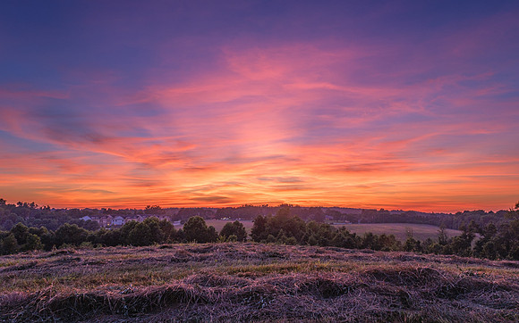 Howard Country Nature Conservancy