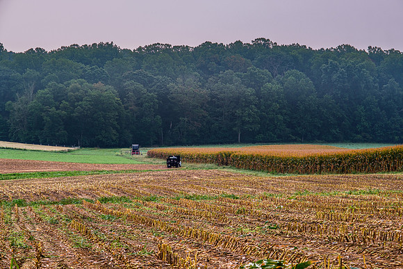 Howard County, MD