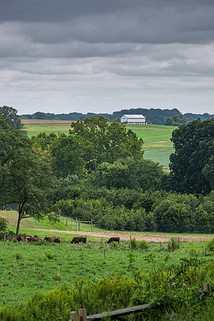 Howard County Idyll