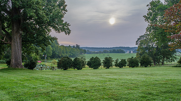 Smokey Sky