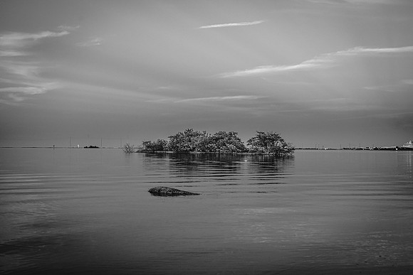 Mosquito Lagoon - B&W