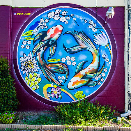 Koi Mural, Mills Ave, Orlando
