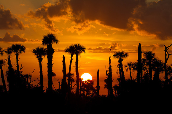 Warming Sunrise
