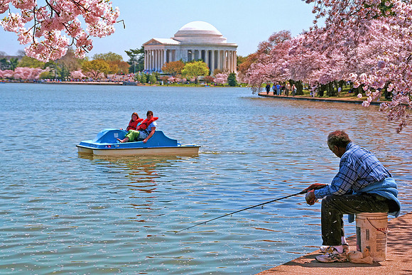 The Reflecting Pool, Washington, DC
