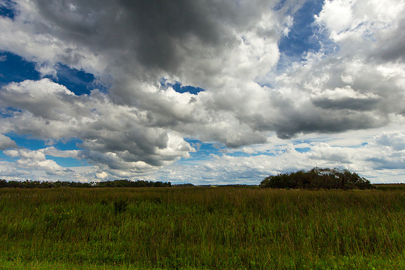 Spring Sky
