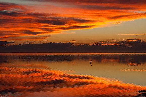 Sunrise over Indian River
