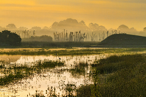 IMG_8028-Edit