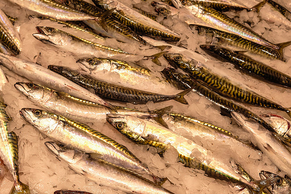 Fish Market, Kristiansand, Norway