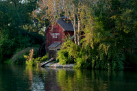 MVMCP (8 of 38)