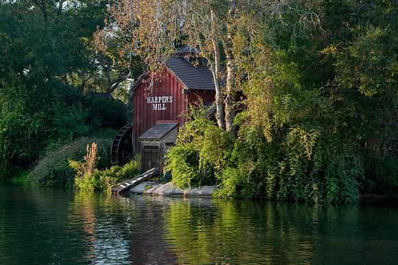 MVMCP (8 of 38)
