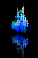 MVMCP (13 of 38)