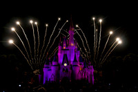 MVMCP (17 of 38)